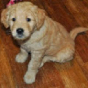 Meet your Posher, Kathryn